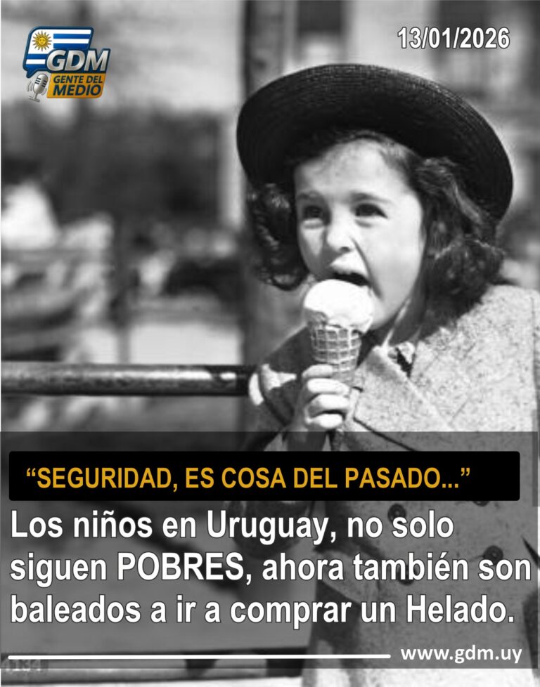 WhatsApp Image 2026-01-13 at 12.39.24 PM